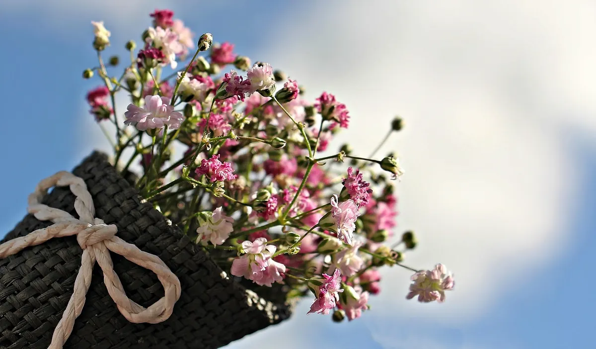 A Beginner's Guide to Arranging Rings on Ring Holders for Maximum Impact